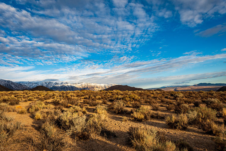 Arid high desert to distant dark hills and snowy mountains under morning sky
