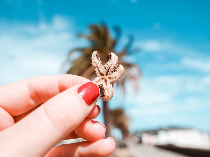 Close-up of hand holding starfish by sea against sky