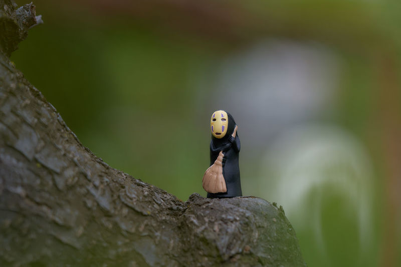 nature