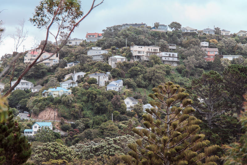 Buildings in town