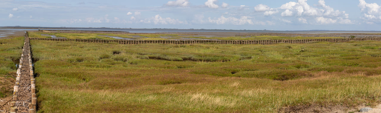Panorama with fascine in the wadden sea national park