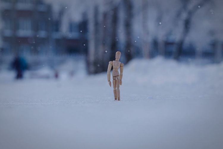 Wooden toy on snow covered field during winter