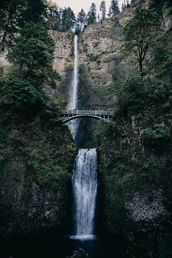 Scenic view of waterfall in forest