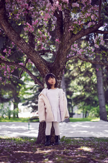 Korean girl in a white light fur coat and a headband stands in a garden with cherry blossoms