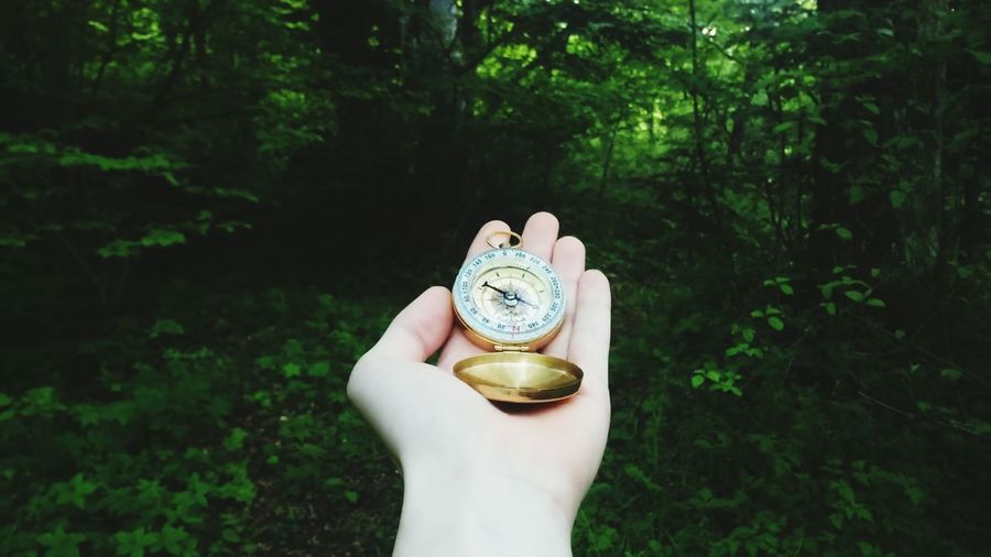 Cropped hand of person holding navigational compass against plants at forest