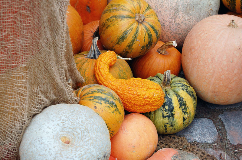 High angle view of pumpkins and squashes for sale in market