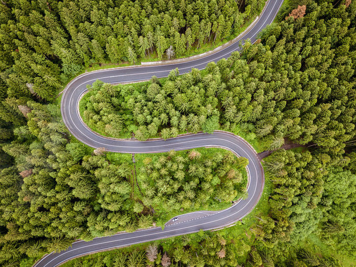 A winding road visible from the air, between green forests