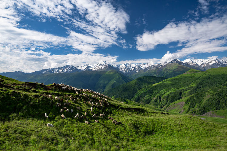 Scenic view of mountains against sky