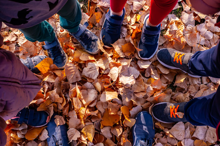 Low section of people standing on autumn leaves