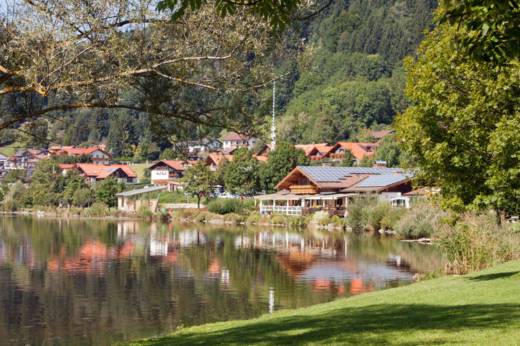 Houses by lake and buildings against trees