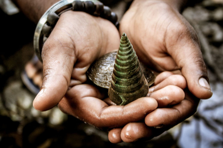 Cropped image of man holding shells