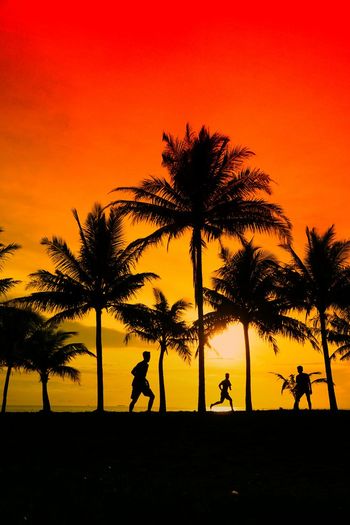 Silhouette people by palm tree against orange sky