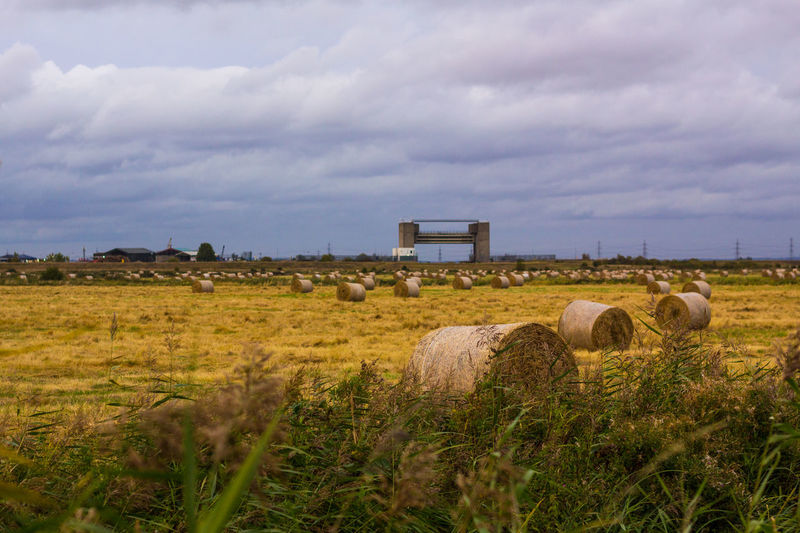 Hay bales on field against sky