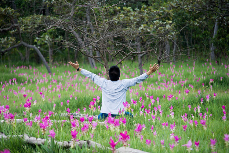 Rear view of woman with arms outstretched amidst pink tulips blooming on field