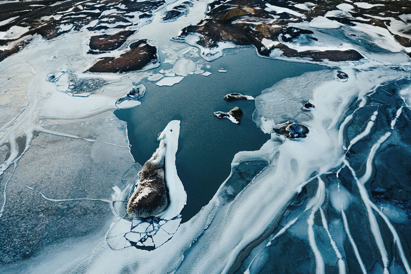 High angle view of birds on frozen water