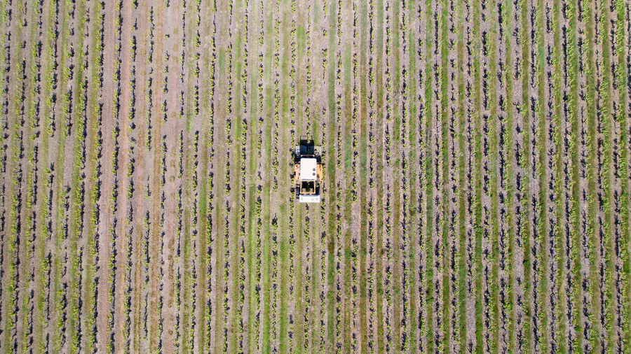 Aerial view of agricultural machinery working on farm