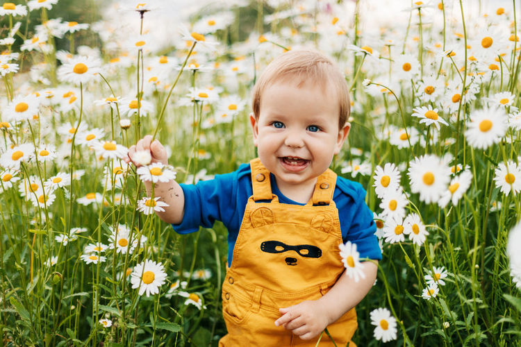 A blue-eyed and fair-haired boy stands in a flowery meadow with chamomile flowers and smiles