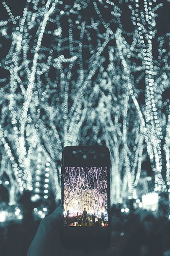 Illuminated christmas tree at night