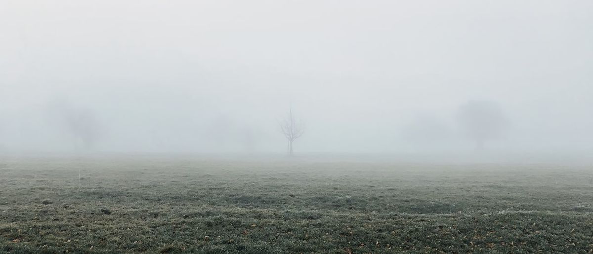 mist