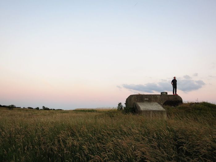 Scenic view of field against clear sky
