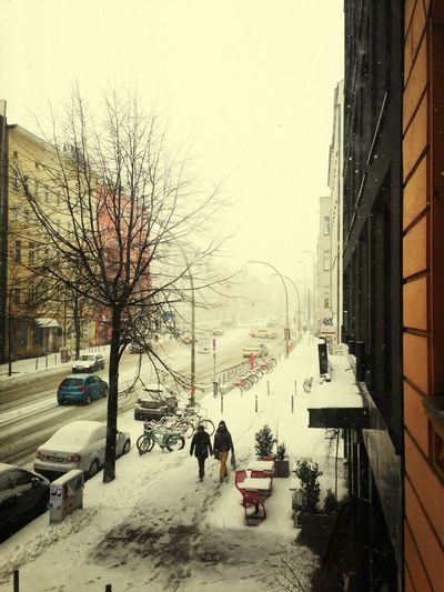 season