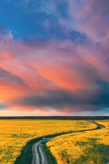 Scenic view of field against sky during sunset