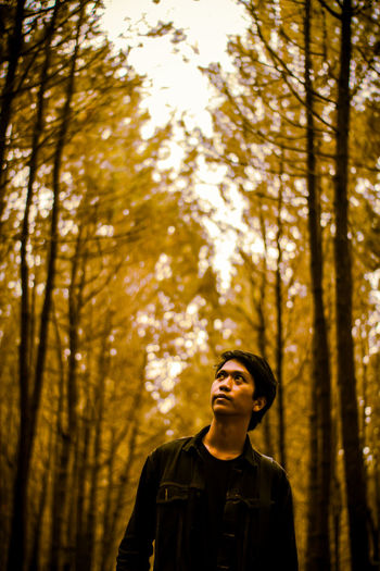 Man looking up while standing against trees in forest
