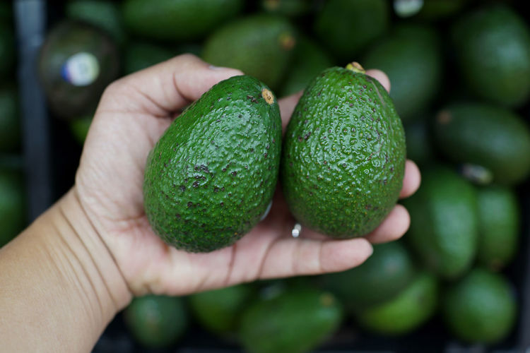 Close-up of hand holding fruits