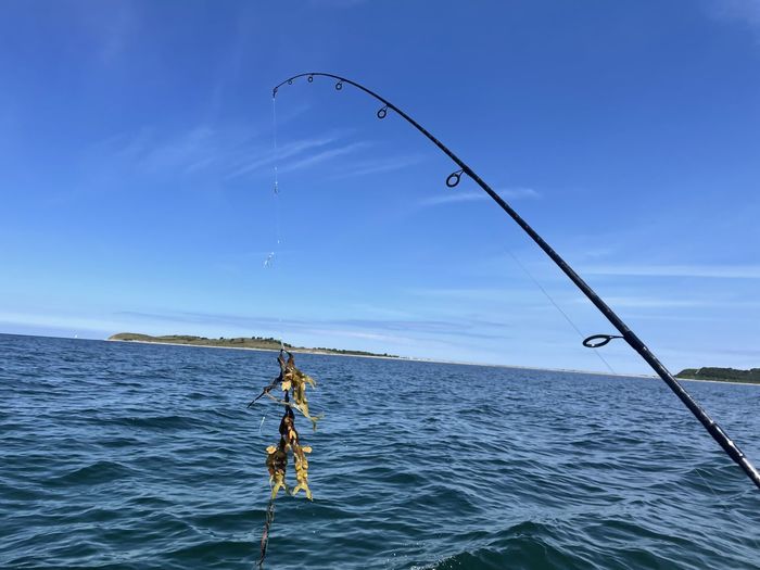 Fishing rod over sea against sky