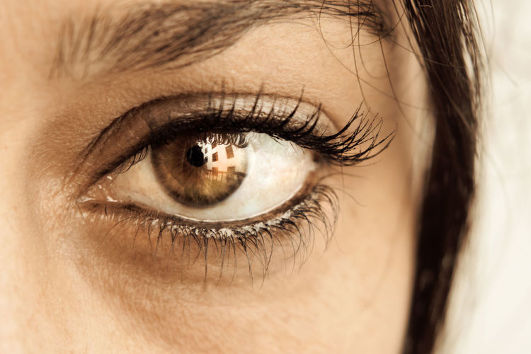 Close-up portrait of woman eye