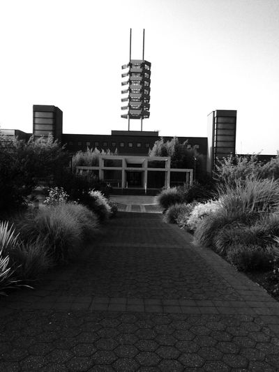 architecture