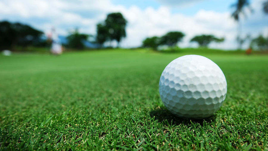 Close-up of ball on golf course