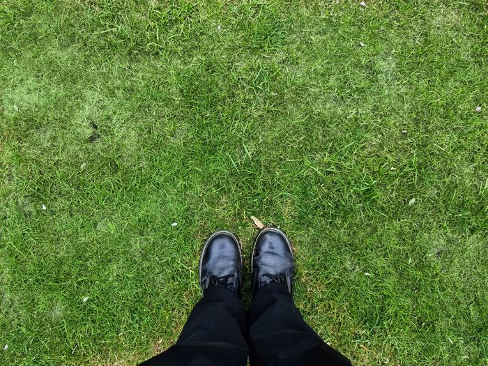 Two black shoes and legs on a grass surface - top view concept