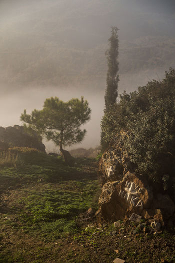 Scenic view of landscape against cloudy sky