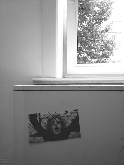 Close-up of cat on window