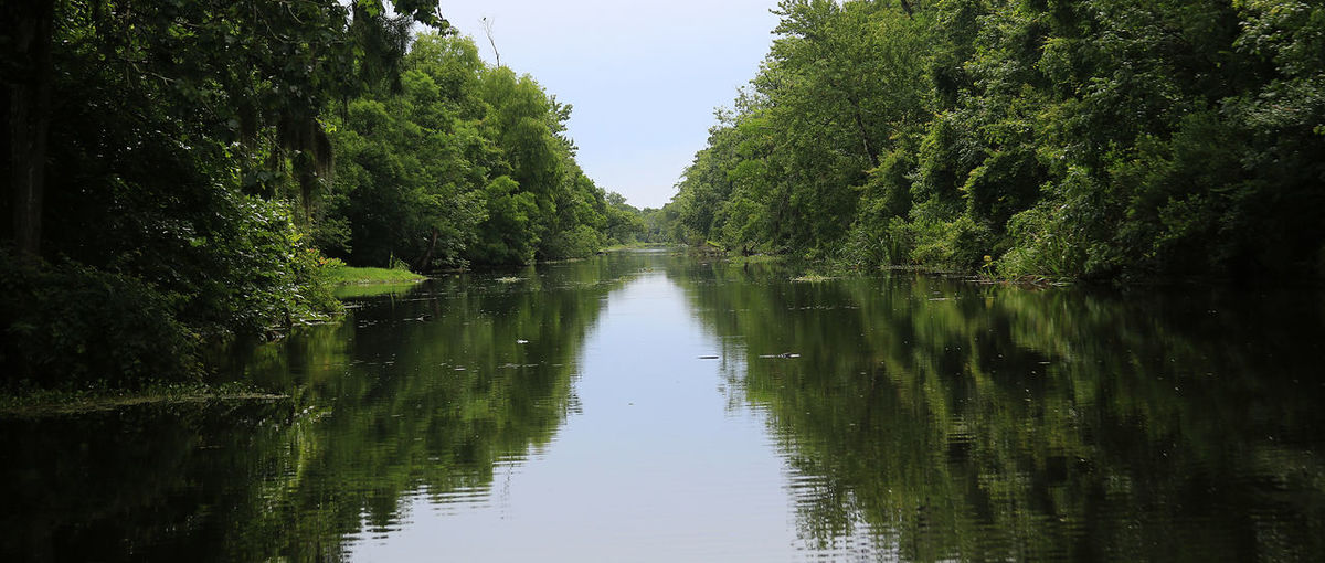 Scenic view of lake in forest against clear sky