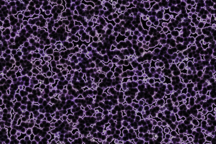 Detail shot of purple surface