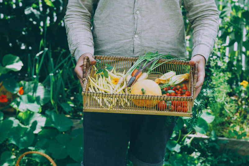 Midsection of woman holding basket