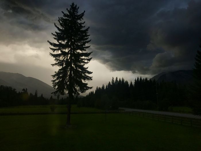 Silhouette trees on field against sky