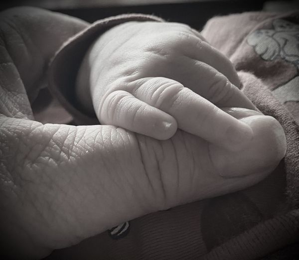 Close-up of mother holding baby hand
