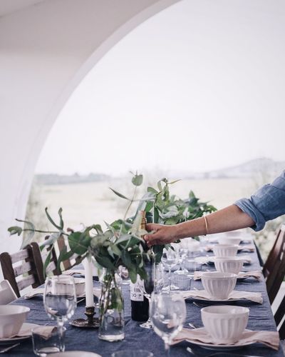 Potted plants on table