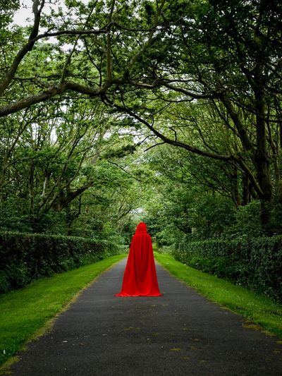 Rear view of person wearing red cape while standing on footpath in forest