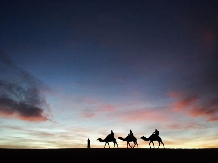 Silhouette of horse on desert against sky