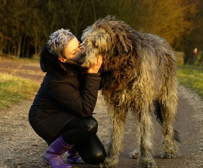 Woman kissing dog on footpath during sunset