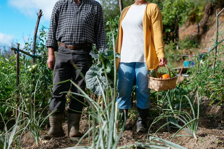 Unrecognizable male and female farmers with fresh vegetables standing near plants during harvest on summer day