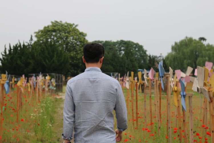Rear view of man walking amidst poppy flowers and wooden pinwheels on field
