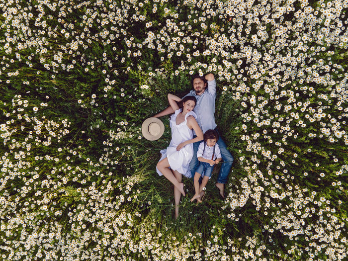 A family of three people lies on a field with daisies in summer aerial view