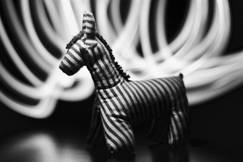 Toy zebra with light painting