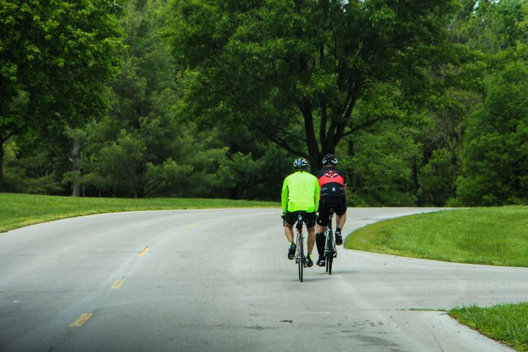 Rear view of bicycling on road against trees